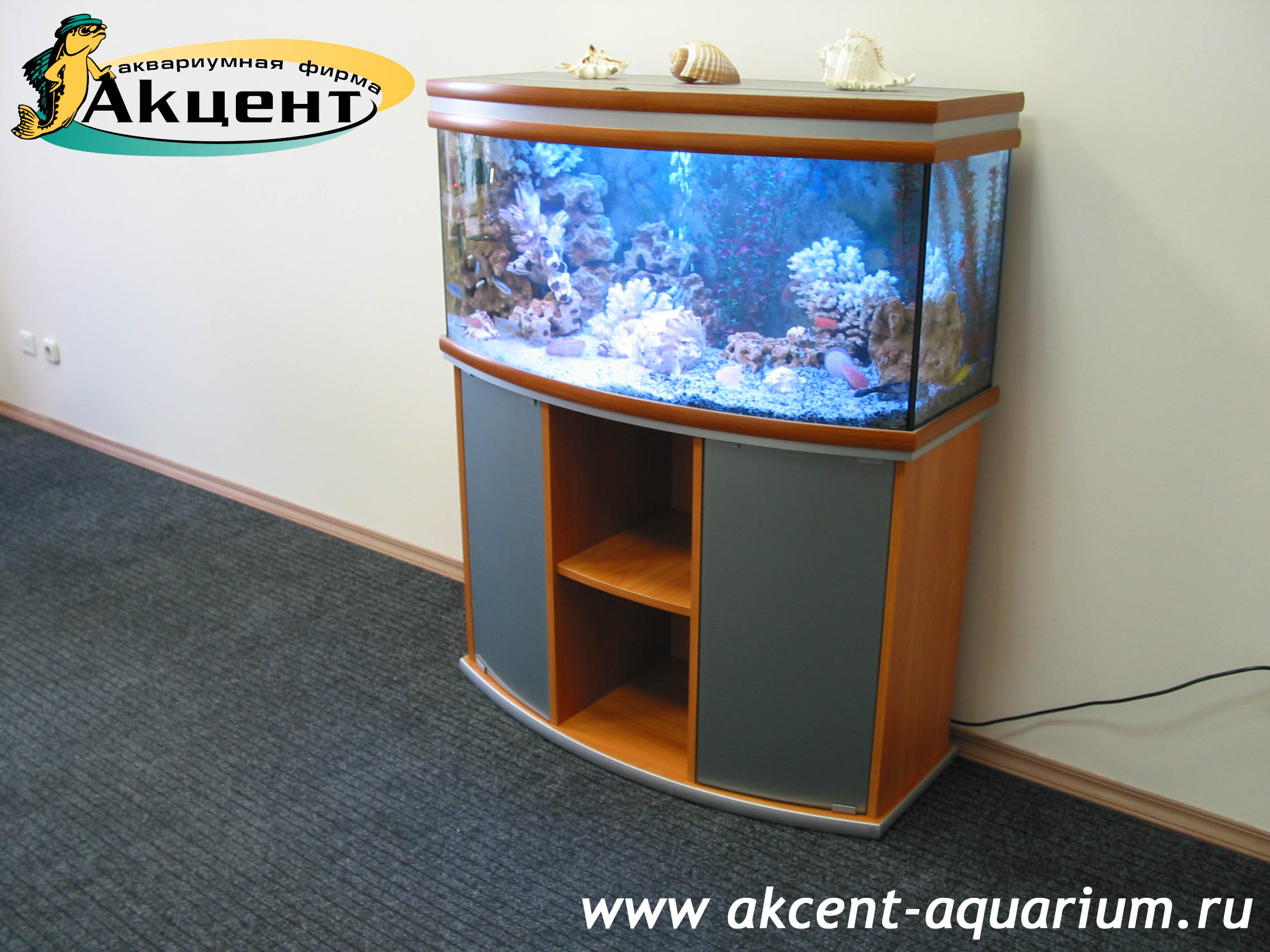 Акцент-аквариум, аквариум 160 литров, с гнутым передним стеклом офис